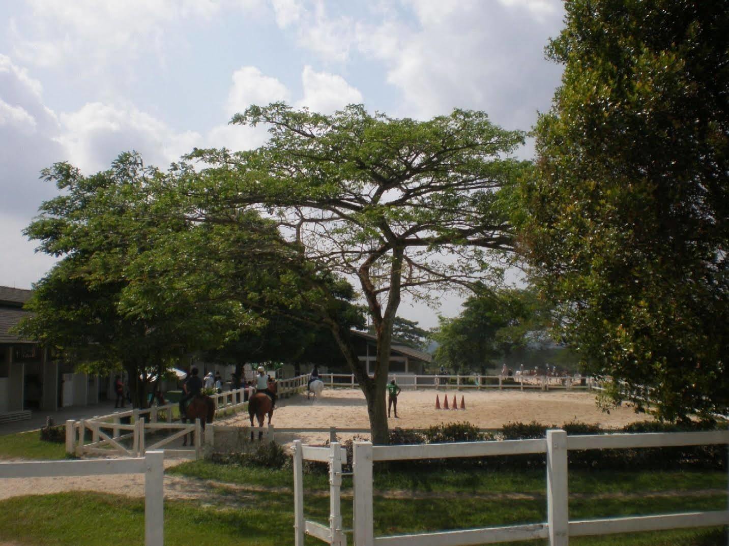 Riders Resort Kulai Exterior foto